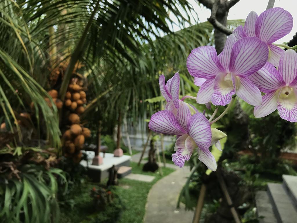 Dimuwa Ubud Екстер'єр фото