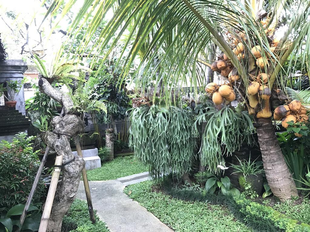 Dimuwa Ubud Екстер'єр фото